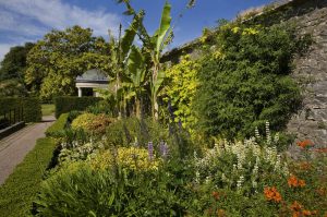 Fota House, Arboretum & Gardens